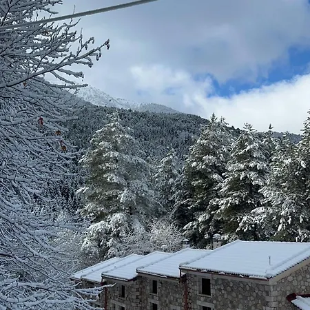 Konstantina 2 Agia Varvara (Akrata)