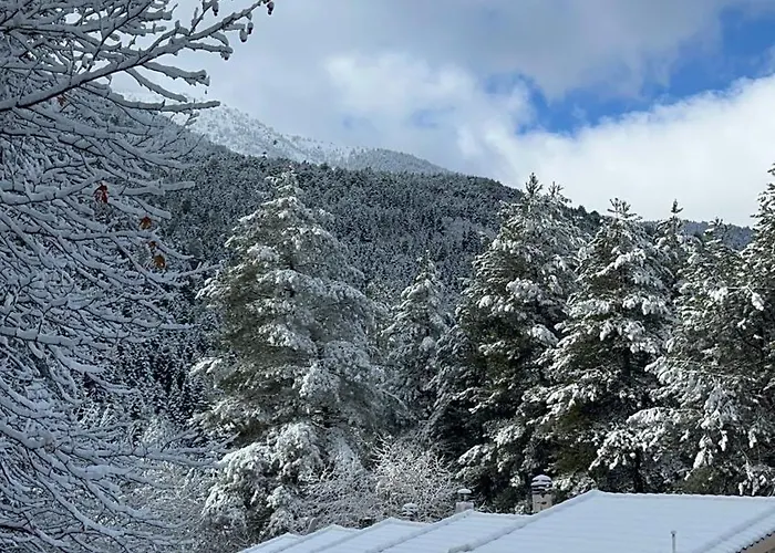 Konstantina 2 Agia Varvara (Akrata)